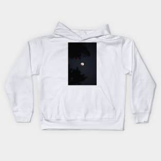 Waxing 3/4 winter moon Kids Hoodie